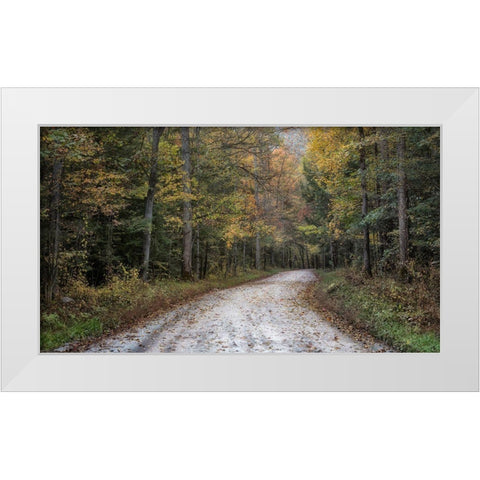 Crusing Greenbrier I White Modern Wood Framed Art Print by Head, Danny