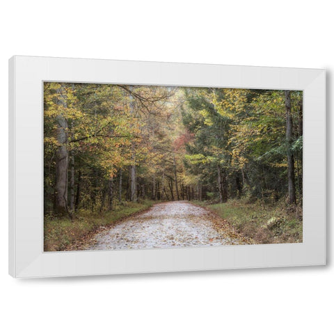 Crusing Greenbrier II White Modern Wood Framed Art Print by Head, Danny