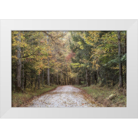 Crusing Greenbrier II White Modern Wood Framed Art Print by Head, Danny