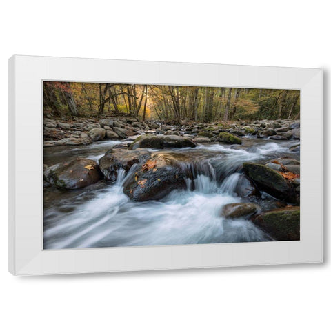 Rust Leaf White Modern Wood Framed Art Print by Head, Danny