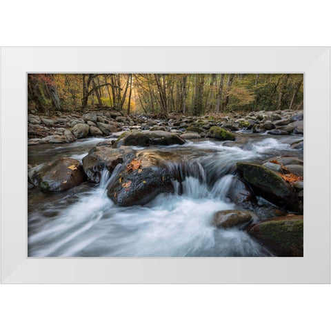 Rust Leaf White Modern Wood Framed Art Print by Head, Danny