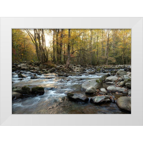 Reflecting Sunrise White Modern Wood Framed Art Print by Head, Danny