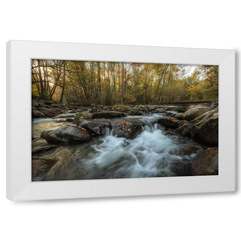 Amber Autumn II White Modern Wood Framed Art Print by Head, Danny