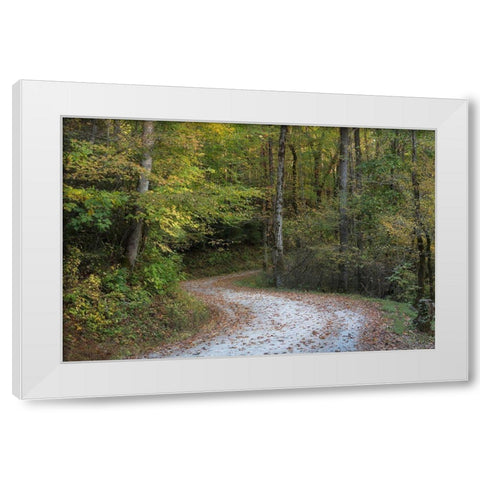 Up and Over I White Modern Wood Framed Art Print by Head, Danny