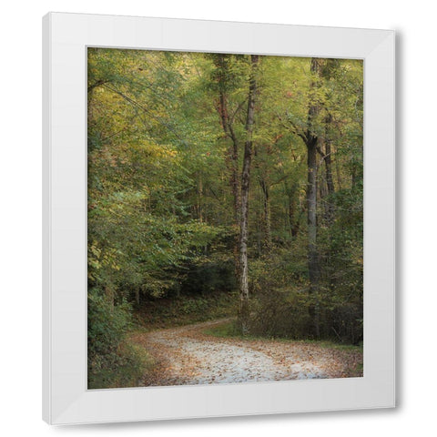 Up and Over II White Modern Wood Framed Art Print by Head, Danny