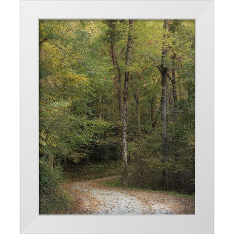 Up and Over II White Modern Wood Framed Art Print by Head, Danny