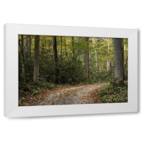 Turning Right White Modern Wood Framed Art Print by Head, Danny