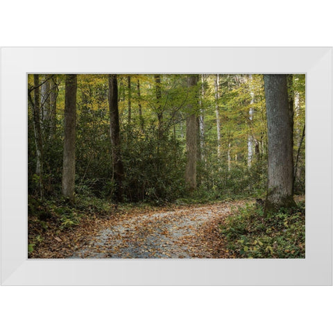 Turning Right White Modern Wood Framed Art Print by Head, Danny