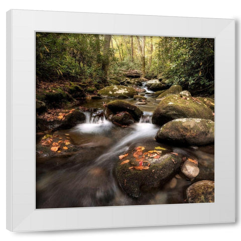 Laurel Lined Streams White Modern Wood Framed Art Print by Head, Danny