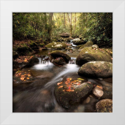 Laurel Lined Streams White Modern Wood Framed Art Print by Head, Danny