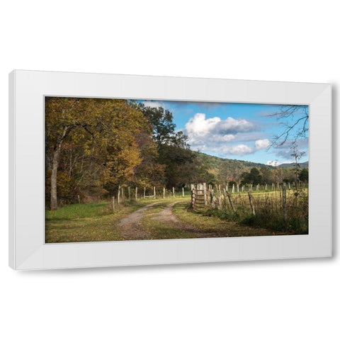 Between the Fences White Modern Wood Framed Art Print by Head, Danny
