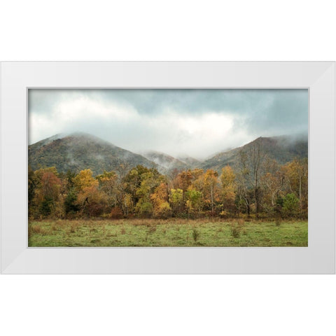 Misty Cove I White Modern Wood Framed Art Print by Head, Danny