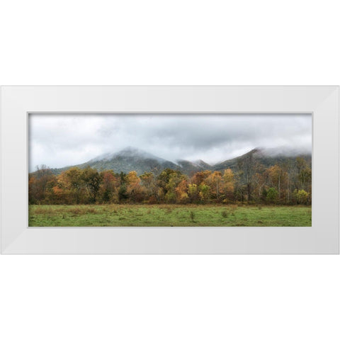 Cove Panorama White Modern Wood Framed Art Print by Head, Danny