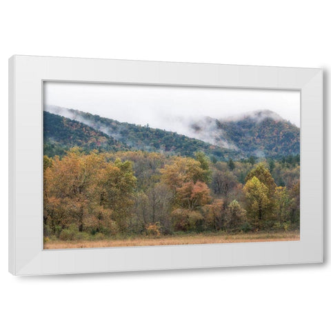 Misty Cove II White Modern Wood Framed Art Print by Head, Danny
