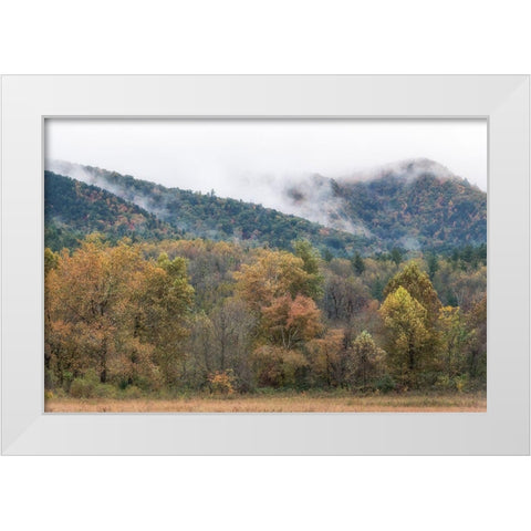 Misty Cove II White Modern Wood Framed Art Print by Head, Danny