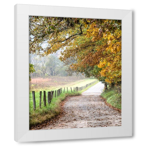 Cove lane II White Modern Wood Framed Art Print by Head, Danny