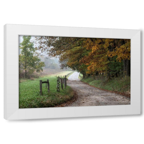 Cove Lane III White Modern Wood Framed Art Print by Head, Danny