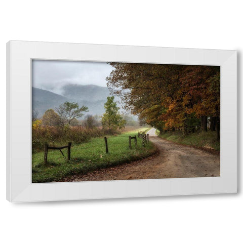 Cove Lane IV White Modern Wood Framed Art Print by Head, Danny