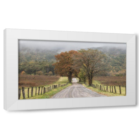 Looking Back White Modern Wood Framed Art Print by Head, Danny