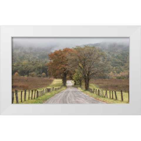 Looking Back White Modern Wood Framed Art Print by Head, Danny