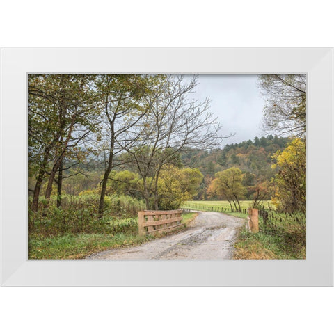 Cove Crossing White Modern Wood Framed Art Print by Head, Danny