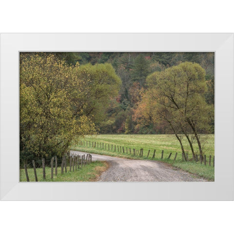 Roads and Fences White Modern Wood Framed Art Print by Head, Danny