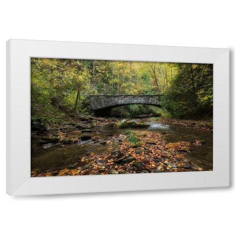 Arched Bridge White Modern Wood Framed Art Print by Head, Danny