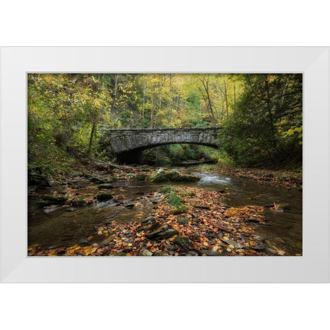 Arched Bridge White Modern Wood Framed Art Print by Head, Danny
