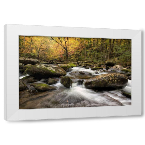 Autumn at Tremont I White Modern Wood Framed Art Print by Head, Danny