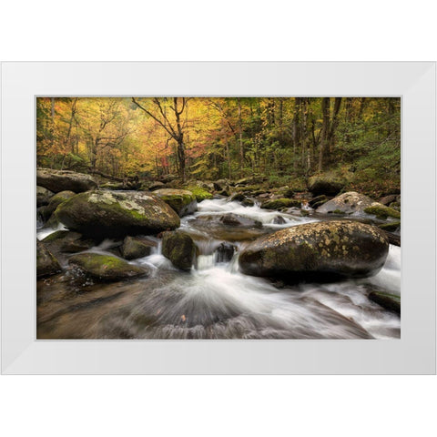 Autumn at Tremont I White Modern Wood Framed Art Print by Head, Danny