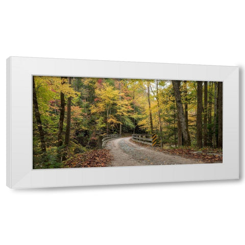 Golden Crossing White Modern Wood Framed Art Print by Head, Danny