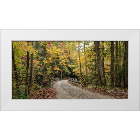 Golden Crossing White Modern Wood Framed Art Print by Head, Danny