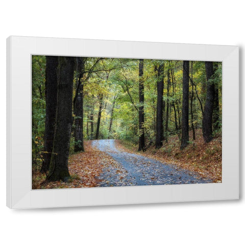 Country Drive White Modern Wood Framed Art Print by Head, Danny