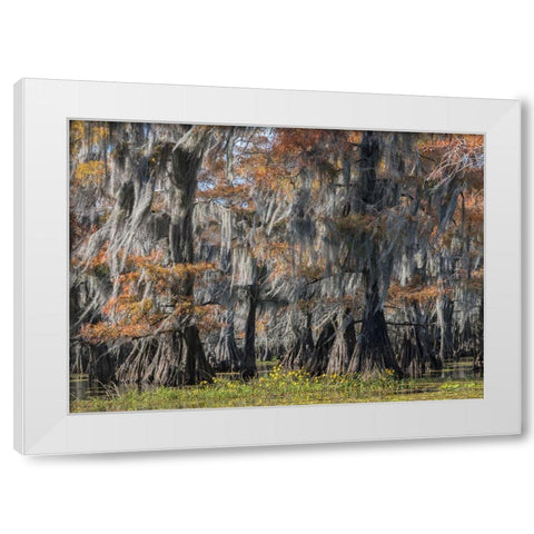 Bayou Flowers White Modern Wood Framed Art Print by Head, Danny