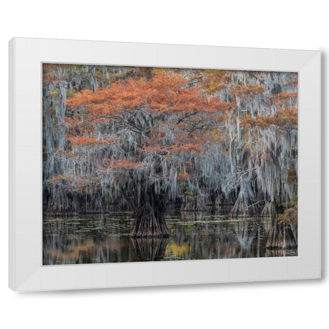 Autumn Orange White Modern Wood Framed Art Print by Head, Danny