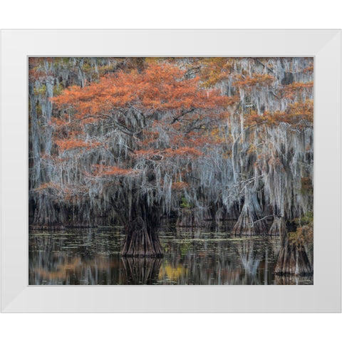 Autumn Orange White Modern Wood Framed Art Print by Head, Danny