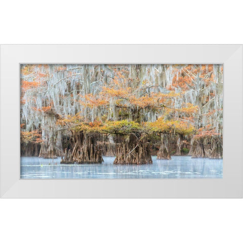 Bayou Colors White Modern Wood Framed Art Print by Head, Danny