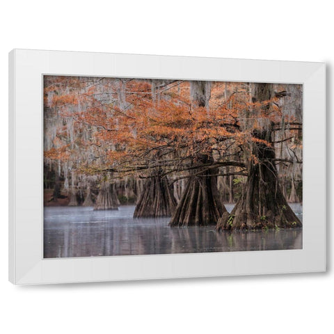 All Lined Up White Modern Wood Framed Art Print by Head, Danny