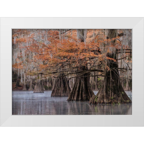 All Lined Up White Modern Wood Framed Art Print by Head, Danny