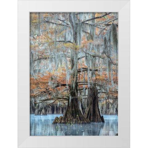 Hues of Blue White Modern Wood Framed Art Print by Head, Danny