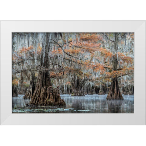 Spanish Moss I White Modern Wood Framed Art Print by Head, Danny
