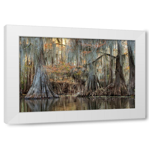 Cypress Silk White Modern Wood Framed Art Print by Head, Danny
