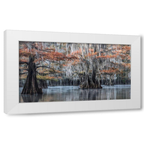Spanish Moss II White Modern Wood Framed Art Print by Head, Danny
