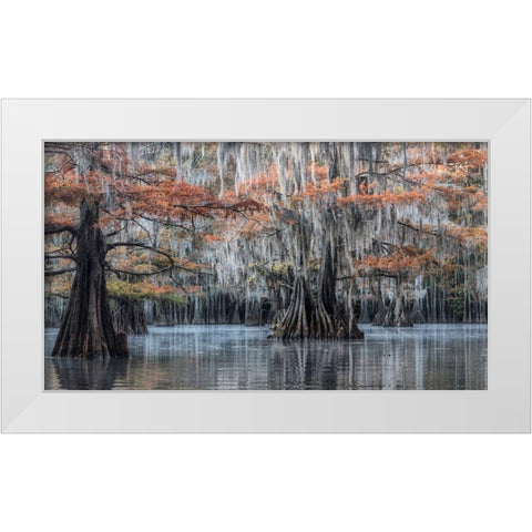 Spanish Moss II White Modern Wood Framed Art Print by Head, Danny