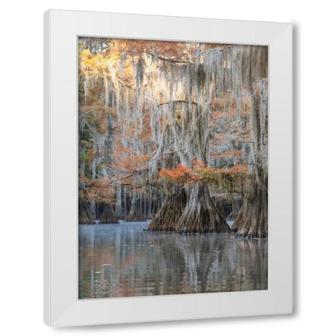Bayou Blues White Modern Wood Framed Art Print by Head, Danny