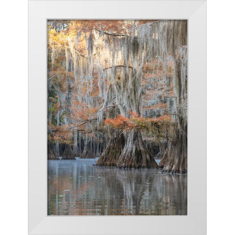 Bayou Blues White Modern Wood Framed Art Print by Head, Danny