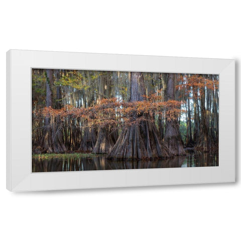 On the Bayou II White Modern Wood Framed Art Print by Head, Danny