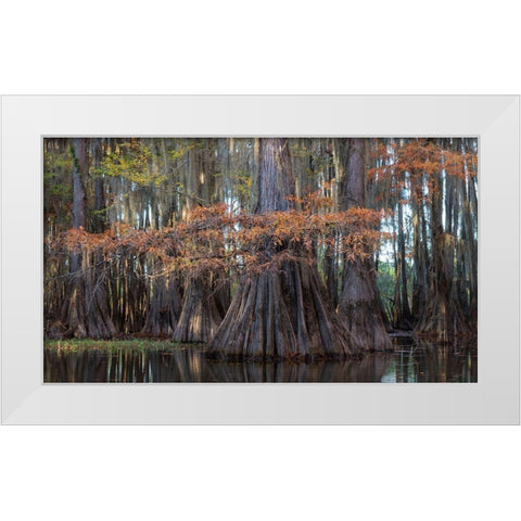 On the Bayou II White Modern Wood Framed Art Print by Head, Danny