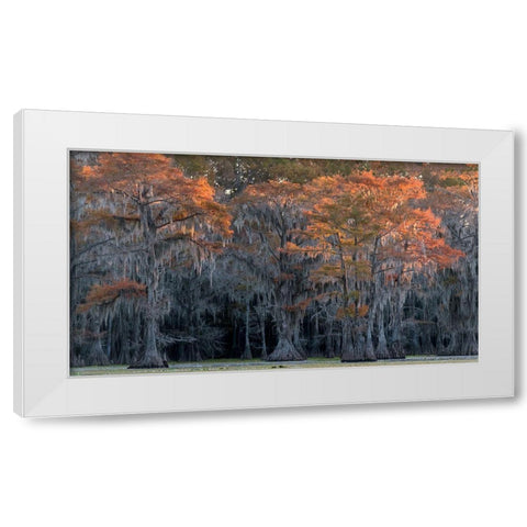 Sun Kissed White Modern Wood Framed Art Print by Head, Danny
