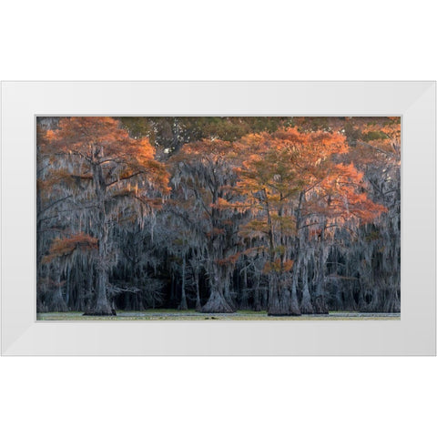 Sun Kissed White Modern Wood Framed Art Print by Head, Danny